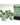 Chessex Dice: Special 16mm D6 (12) - Marble: Green/Dark Green 