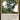 Esika, God of the Tree (Showcase) (Back)