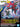 Pokemon Series: Hydreigon Evolution Set (Snap) 