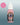 Two Thin Coats Hot Pink 