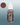 Two Thin Coats Dread Red 
