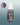 Two Thin Coats Magi Purple Wash 