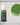 Two Thin Coats Ethereal Green 
