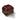 D&D Fizban's Fortune Misfit Blind Mystery Box 