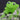 Frog RPG Inclusion Dice Set 