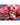 Pokemon Koraidon Quick Model Kit 