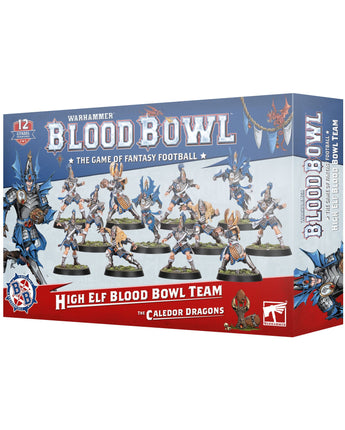 Blood Bowl High Elf Team 