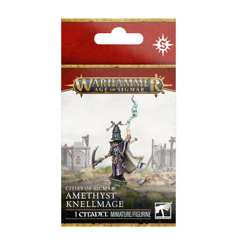 Cities Of Sigmar Amethyst Knellmage 
