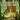 Potions of Azerland 