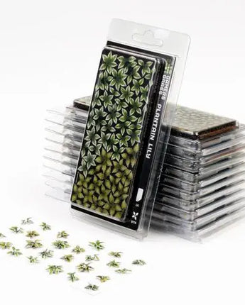 Gamers Grass - Laser Plants Plantain Lily 