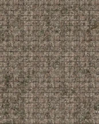 Battle Systems: Flagstone Floor Gaming Mat 2'x2' 