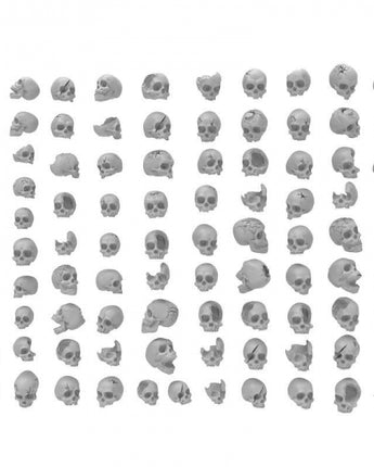 GSW: Resin Skulls 