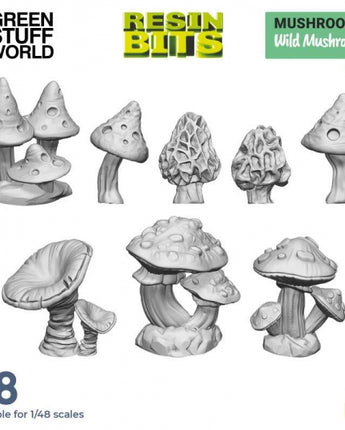 GSW: Wild Mushrooms 