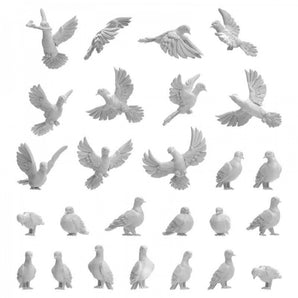 GSW: Pigeons 