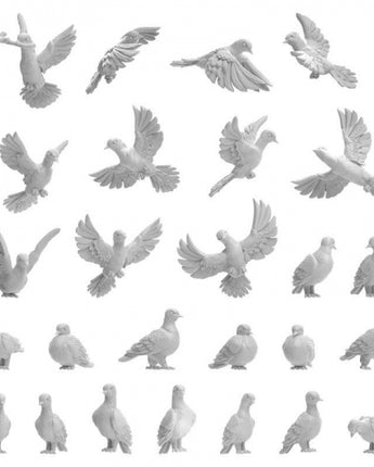 GSW: Pigeons 