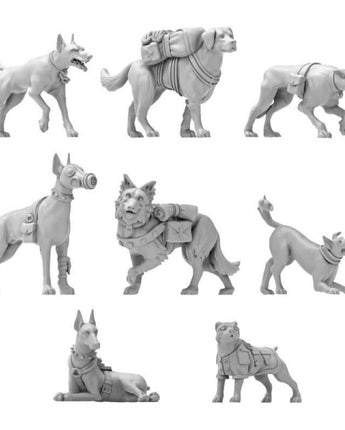 GSW: War Dogs 