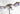 Conquest: Spires Pteraphon 
