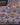 Starcraft: Zerg Zergling 