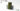 Gamers Grass - Strong Green Shrubs 