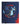 Pokemon 9-Pocket Binder: Mega Charizard X and Y 